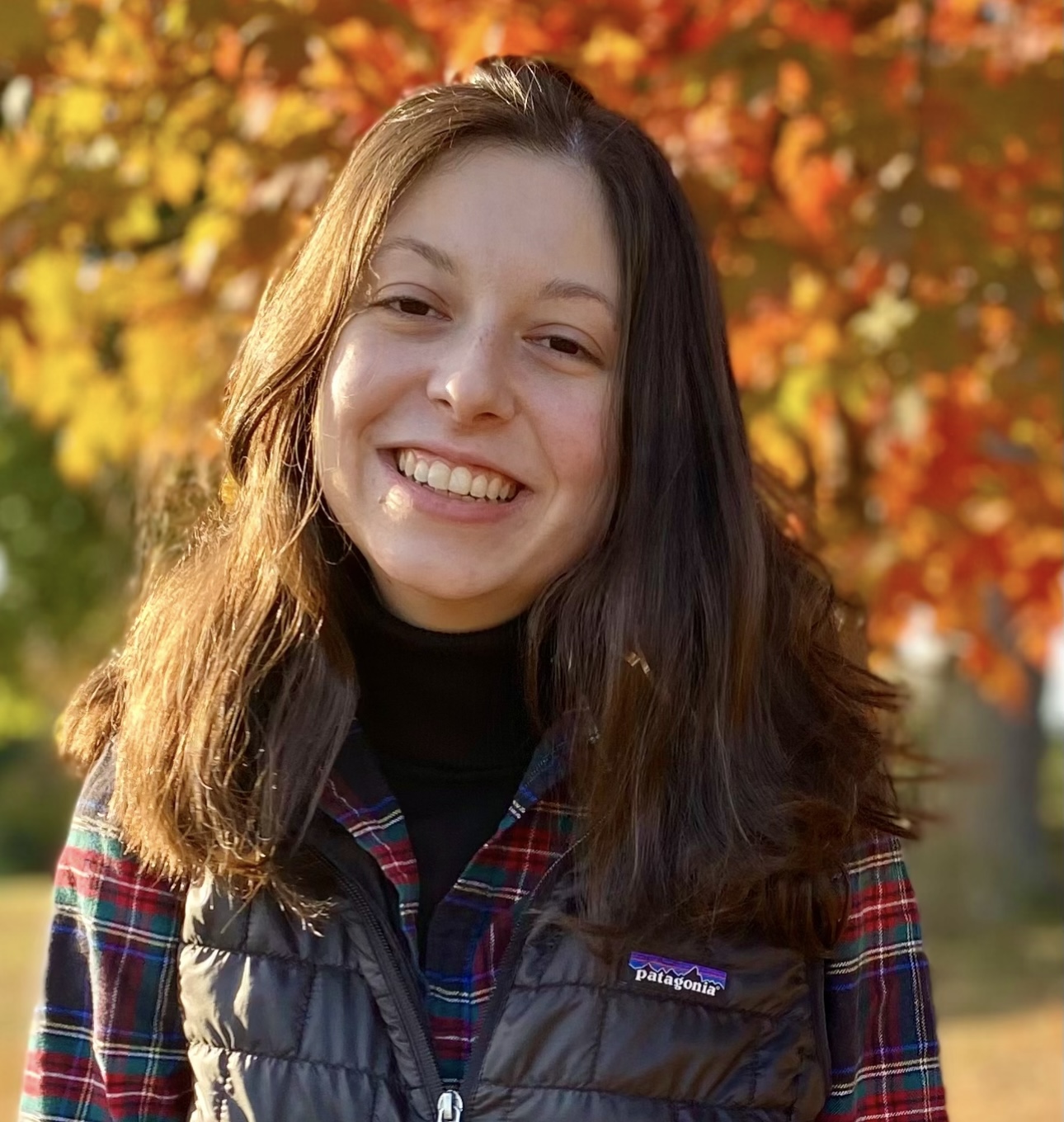 Alexis Papazoglou Voicethread Certified Educator Voicethread